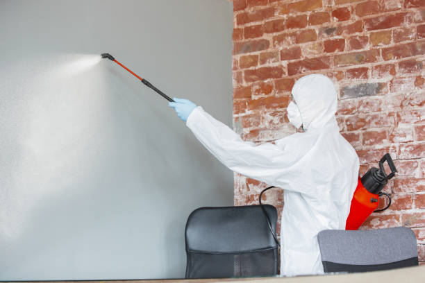 Forensic Mold Investigation in Willow, AK
