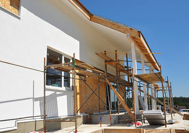 Best Asbestos and Lead Testing During Mold Inspection  in Willow, AK